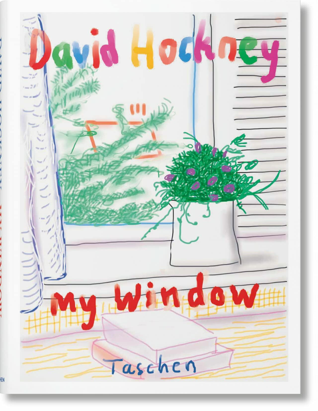David hockney. my window