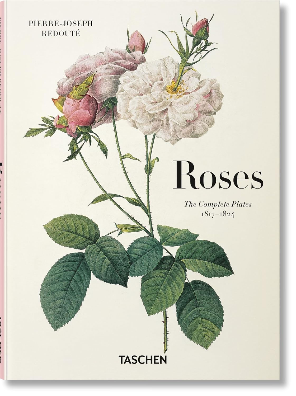Roses