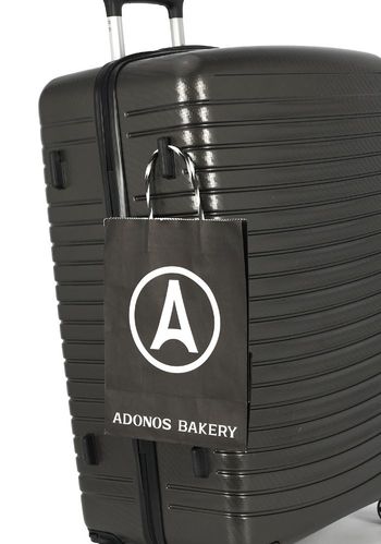 Mala Grande Viagem Sidney Polo King com Rodas Removíveis. G / Cinza