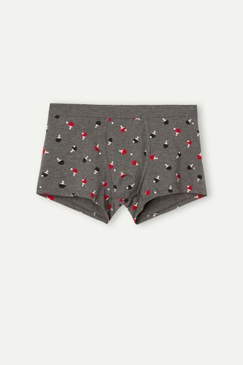 Cueca Boxer Pingue-Pongue Em Algodão Supima Elástico - Cinza P / Cinza